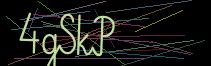 Token