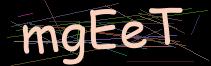 Token
