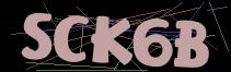 Token