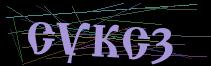 Token